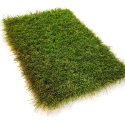 38mm Kingdom Artificial Grass side above
