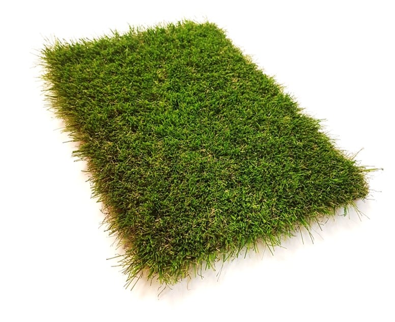 38mm Kingdom Artificial Grass