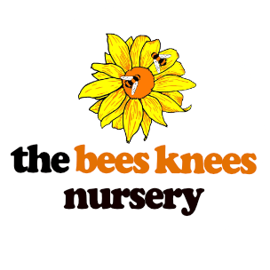 Bees Knees Nursery Logo