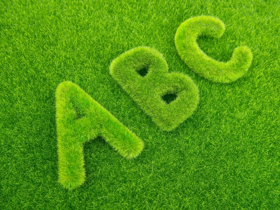 Abc Learn Artificial Grass
