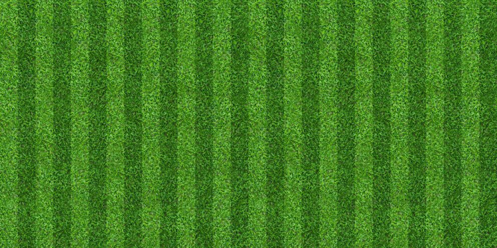 Striped Artificial Grass