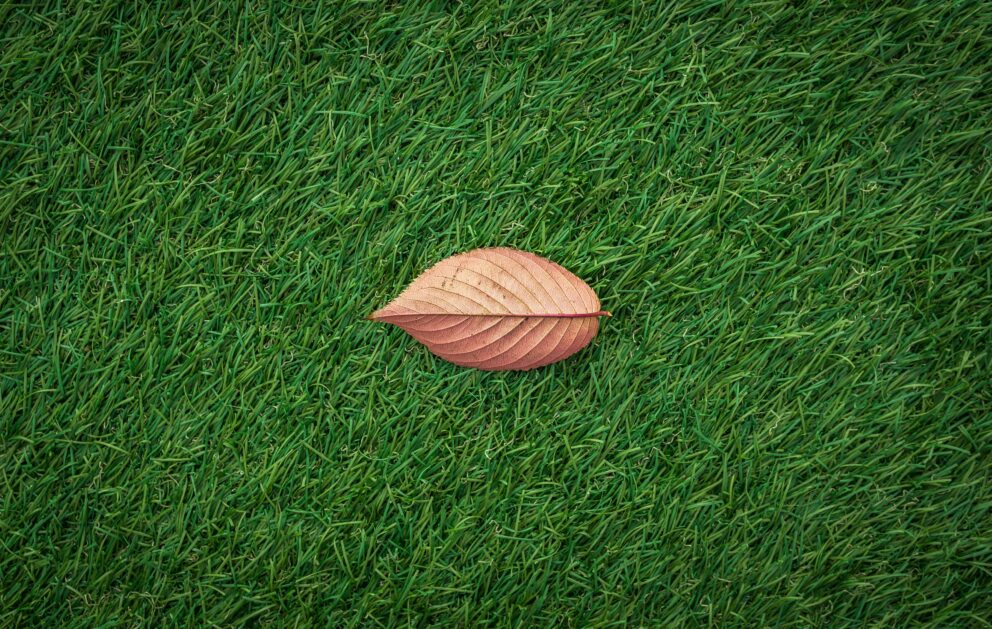 Artificial Grass With Brown Leaf On Top