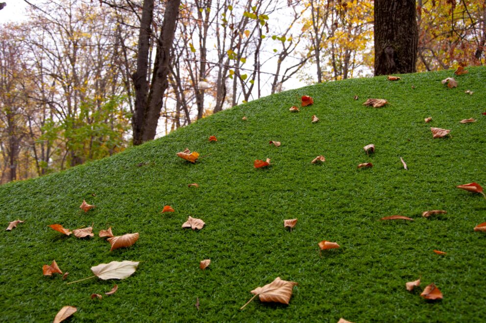 Leaves On Artificial Grass Hill