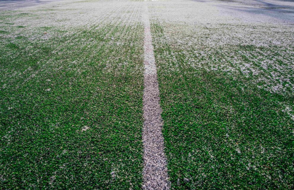 Football Pitch With Frost